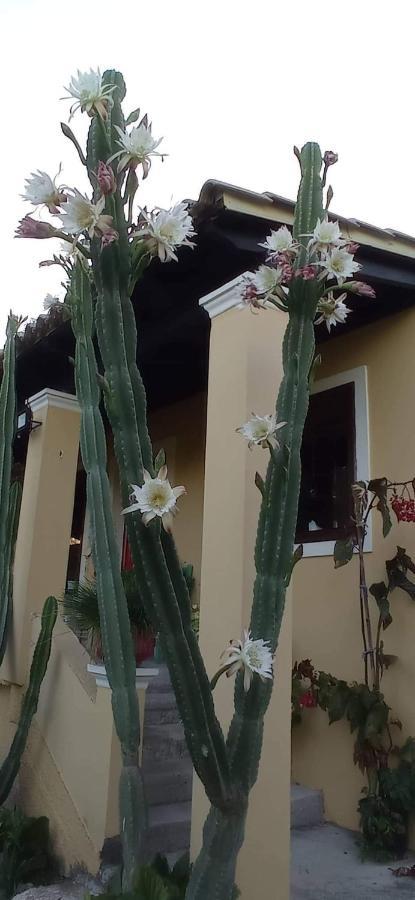 Villa Roula'S House Nymfai Exterior foto